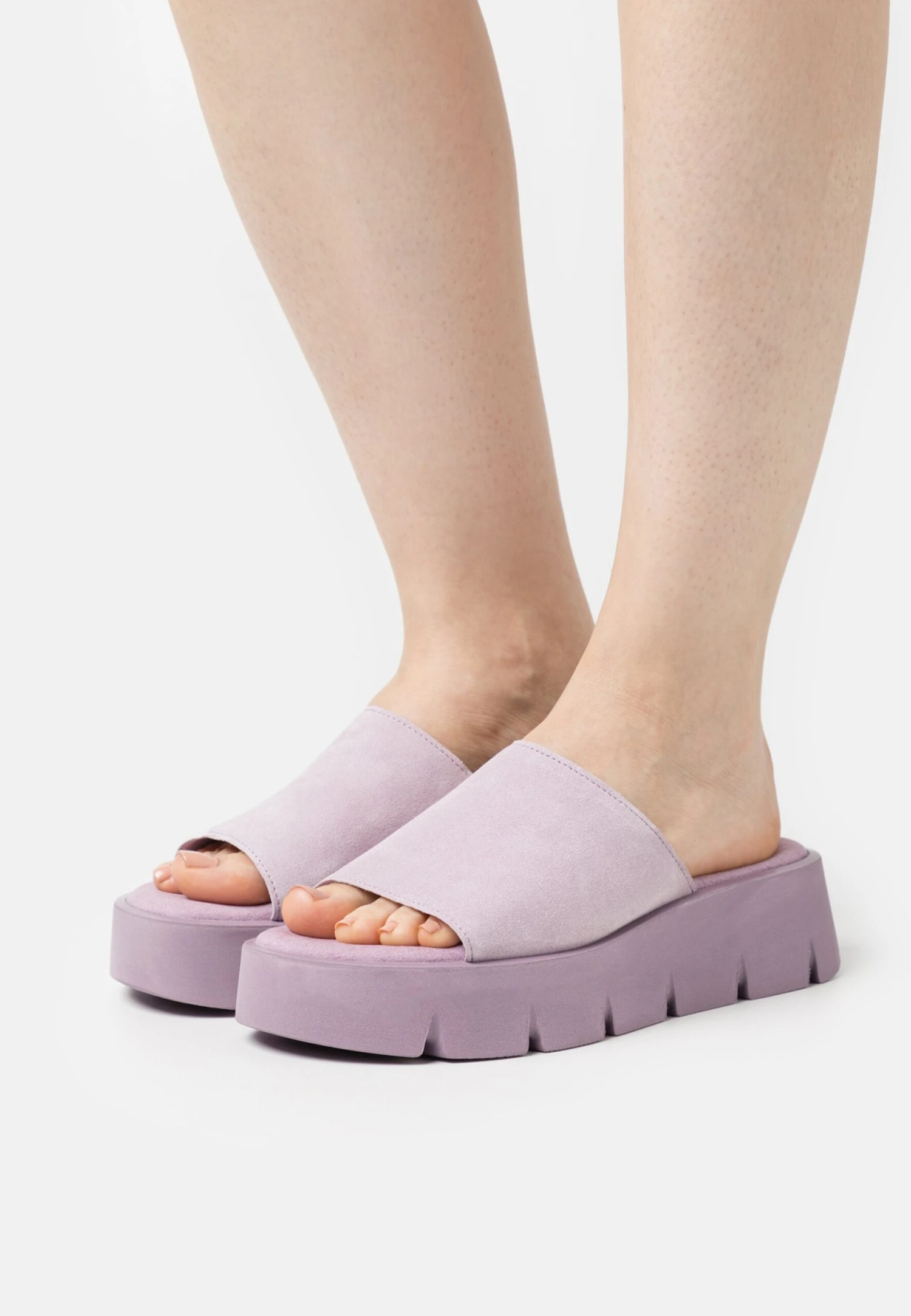 Gabor Muiltjes - Lavendel 1 Gabor Muiltjes - Lavendel